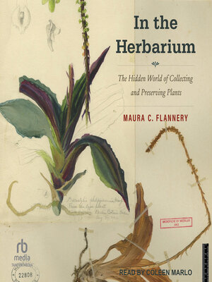 In the Herbarium - Audiobook